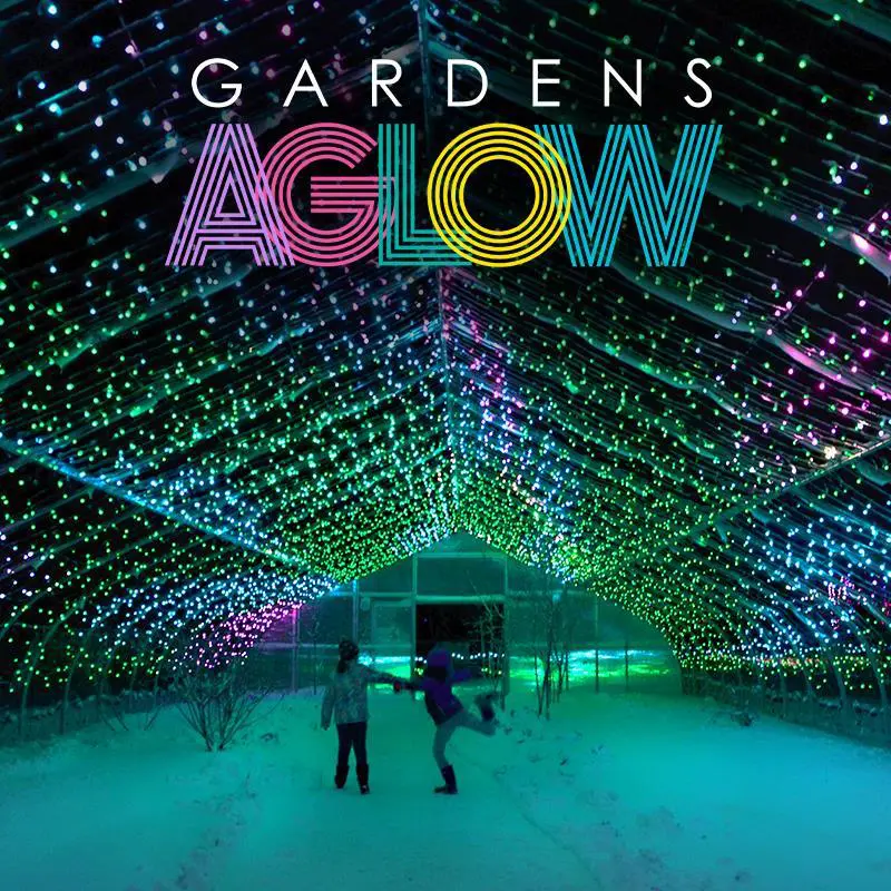 Image of gardens aglow